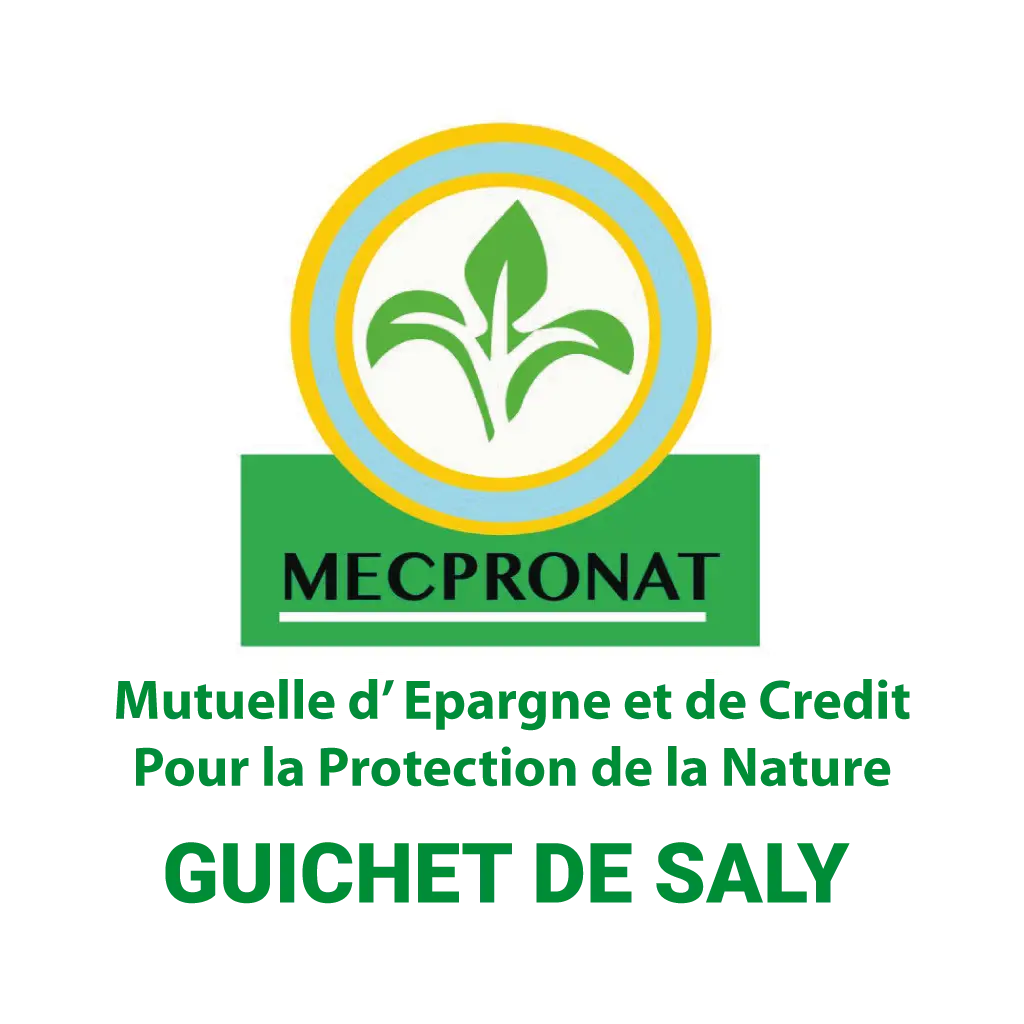 guichet de Saly